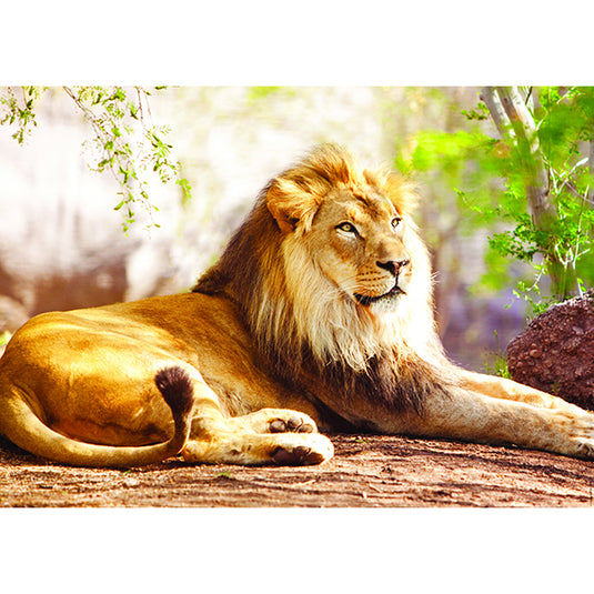 The King of the Savannah 1500 Piece Jigsaw Puzzle by Nathan - 2