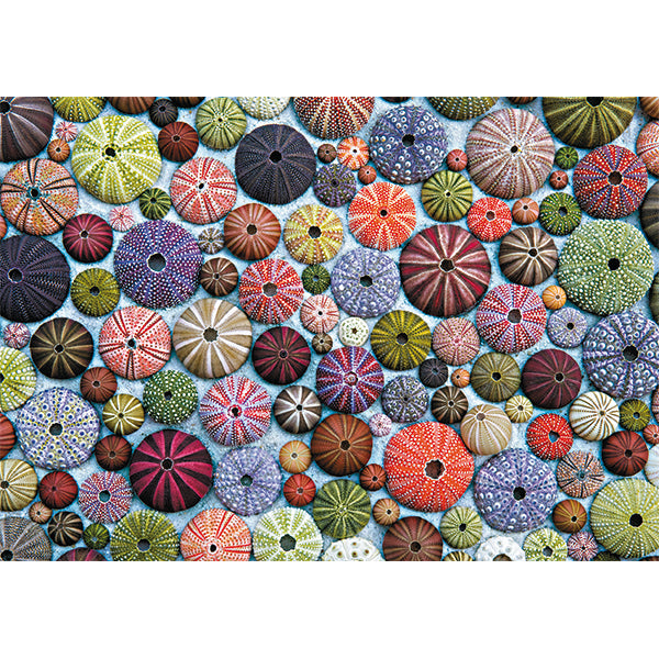 Sea Urchins 1000 Piece Jigsaw Puzzle by Piatnik