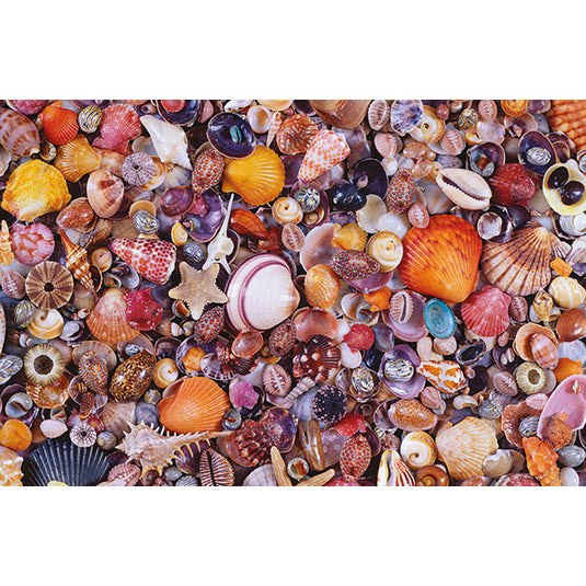 Sea Shells 1000 Piece Jigsaw Puzzle by Piatnik - 2