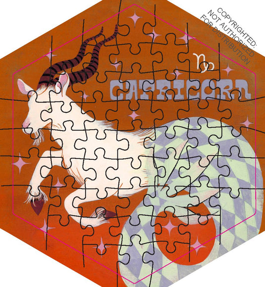 What's Your Sign? 12x 51 Piece Jigsaw Puzzle Set - 16