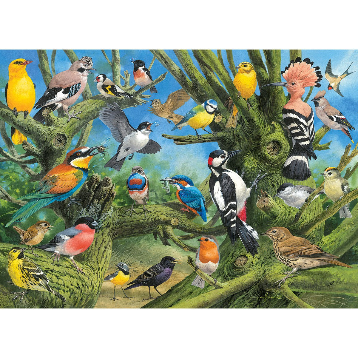 Garden Birds by Francis 1000 Piece Jigsaw Puzzle by Eurographics