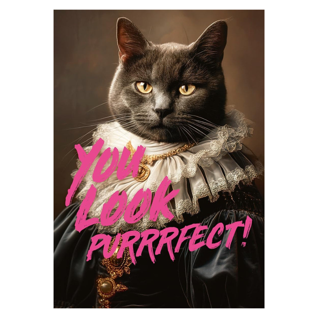 You Look Purrrfect! 1000 Piece Jigsaw Puzzle by Piatnik