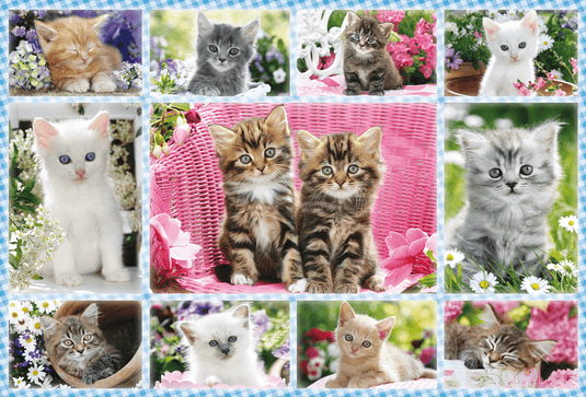 Kittens 100 Piece Jigsaw Puzzle by Schmidt Puzzle - 1