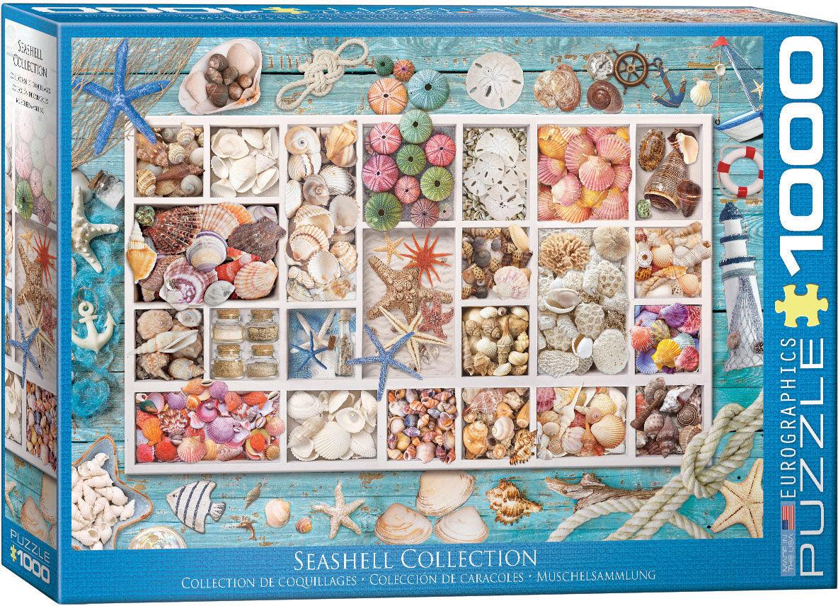 Seashell Collection 1000 Piece Jigsaw Puzzle by Eurographics