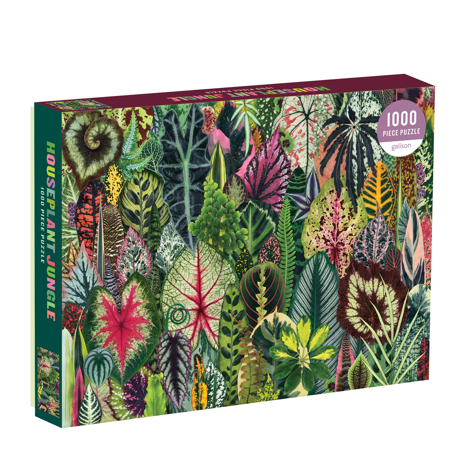 Houseplant Jungle 1000 Piece Jigsaw Puzzle by Galison