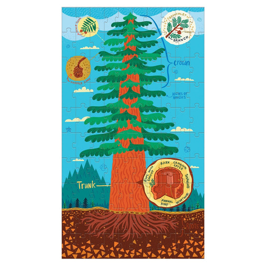 Plant Anatomy Science Puzzle Set by Galison - 4
