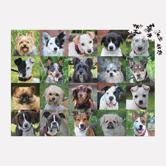 Rescue Dogs 1000 Piece Jigsaw Puzzle by Galison - 4