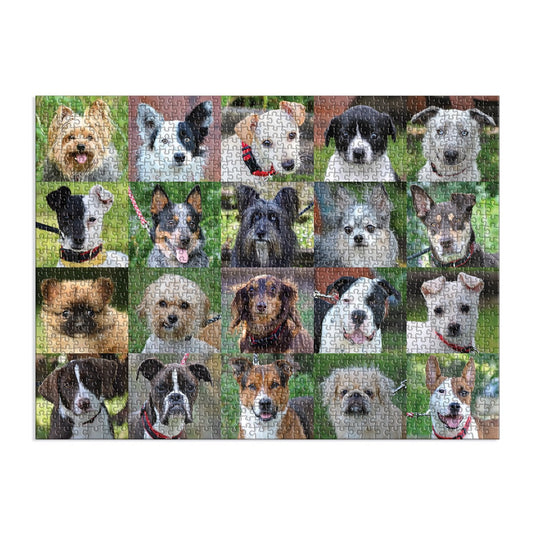 Rescue Dogs 1000 Piece Jigsaw Puzzle by Galison - 3