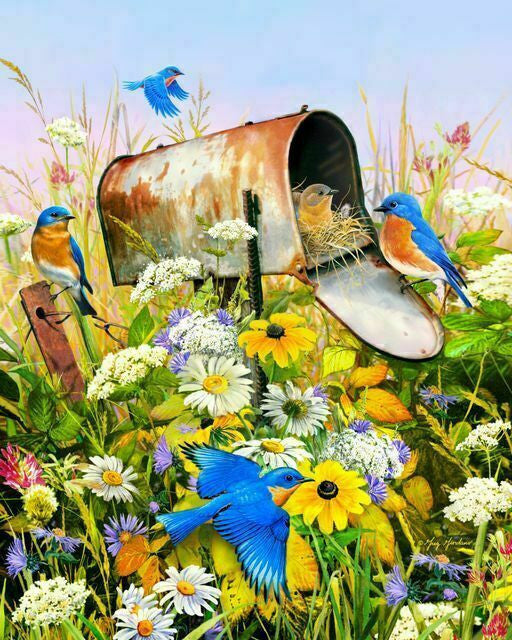 Bluebird 36 Piece Jigsaw Puzzle by Springbok - 1