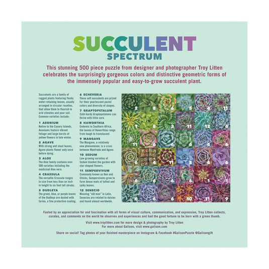 Succulent Spectrum 500 Piece Jigsaw Puzzle by Galison - 4