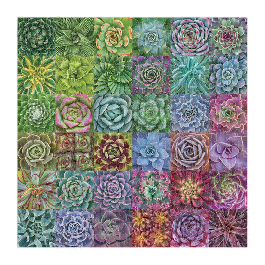 Succulent Spectrum 500 Piece Jigsaw Puzzle by Galison - 3