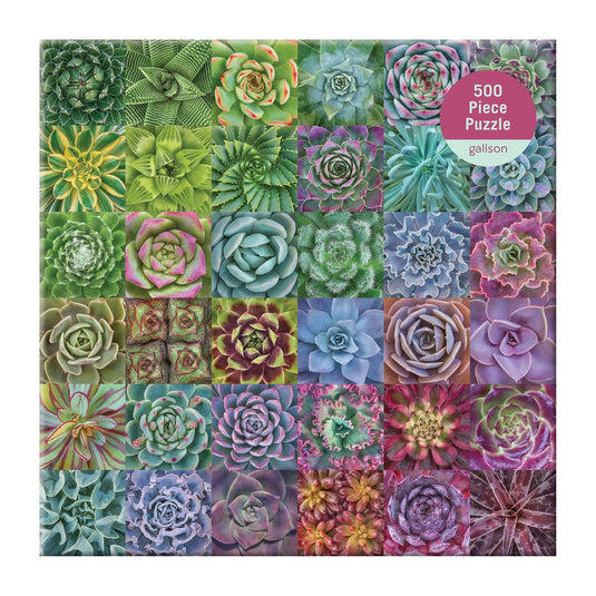 Succulent Spectrum 500 Piece Jigsaw Puzzle by Galison - 2